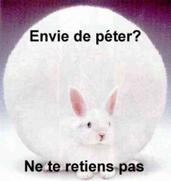 ptdr