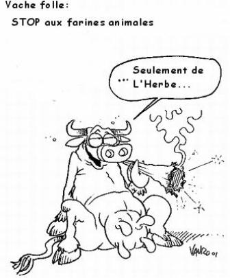 la vache elle es tro marante