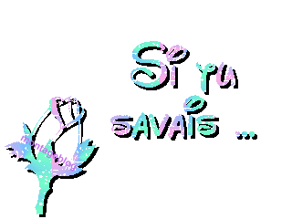 stu savai